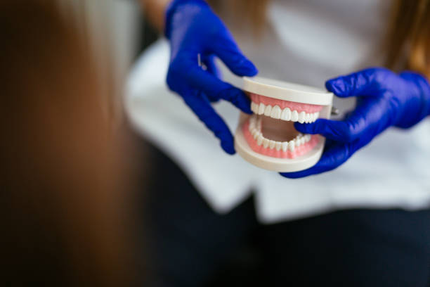 Best Dental Exams and Cleanings  in Soddy Daisy, TN